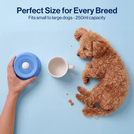 Lick & Roll Slow Feeder Bowl 2.0 (New Design!)