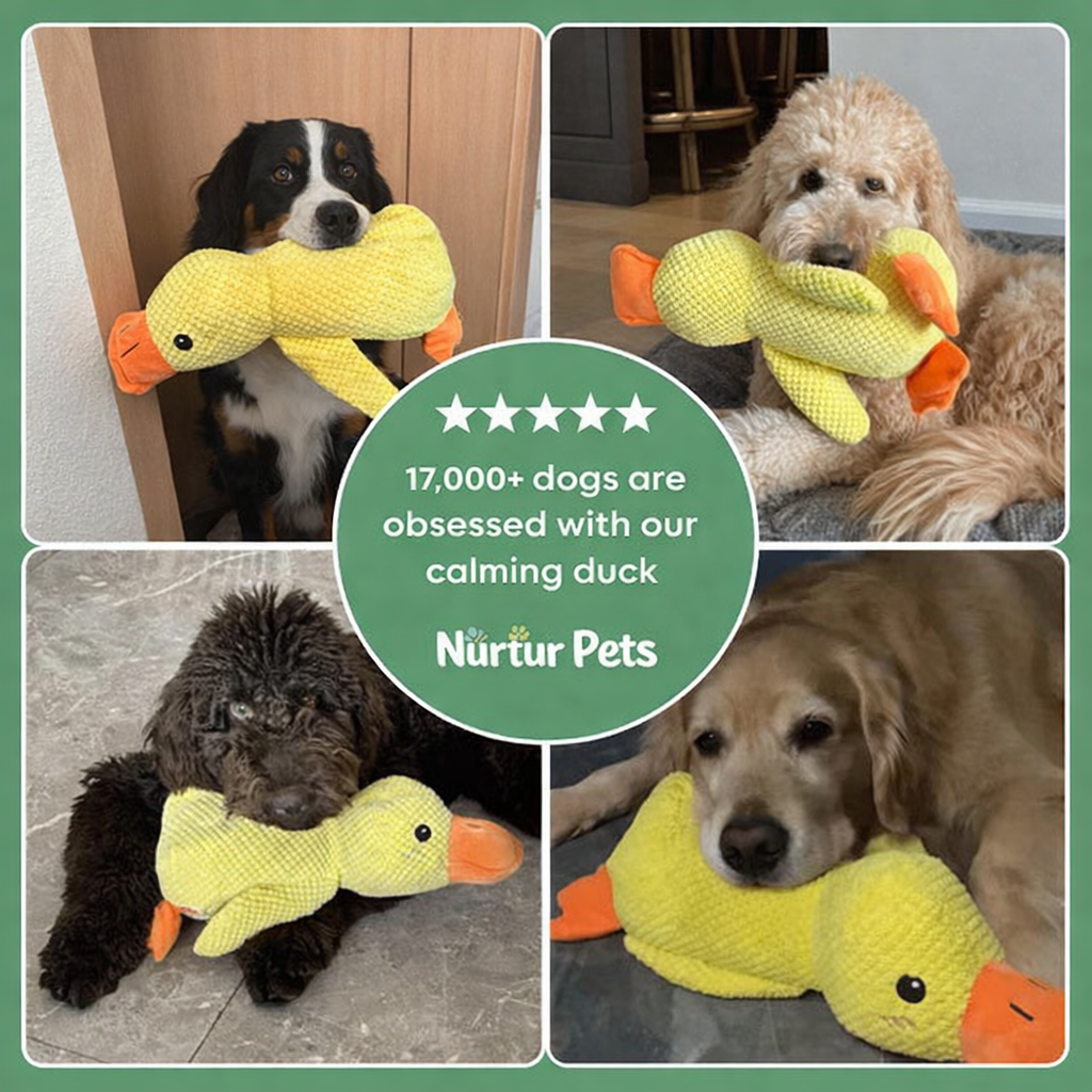 Nurtur Pets™ - Calming Duck