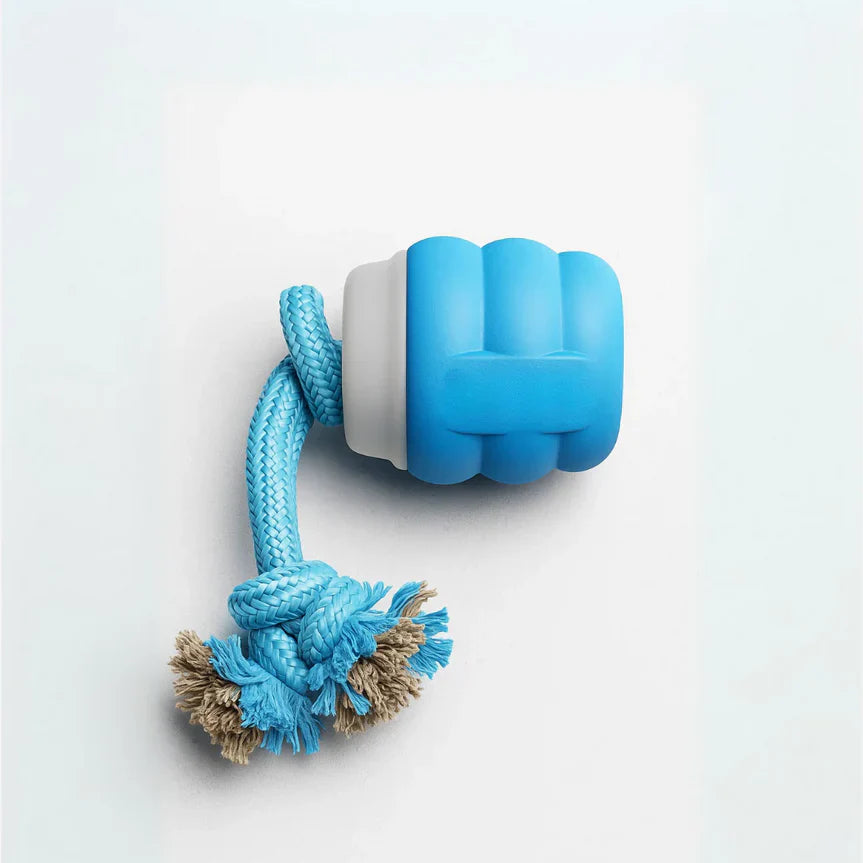 Mindball – Designed to Improve Your Dog’s Focus, Curiosity & Emotional Health