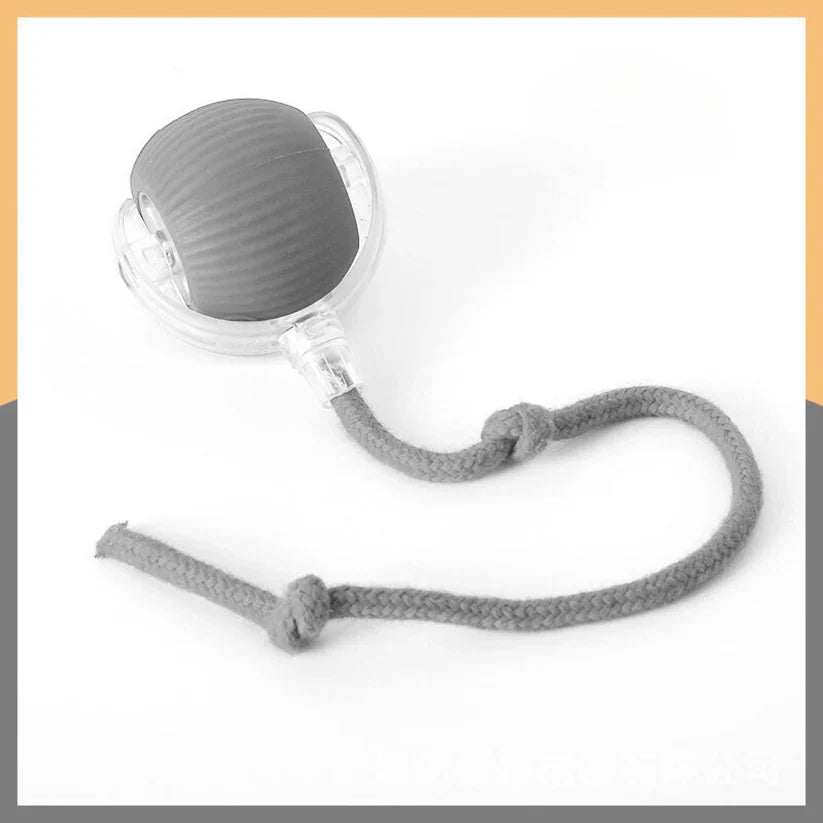 Interactive Play Ball With Tail